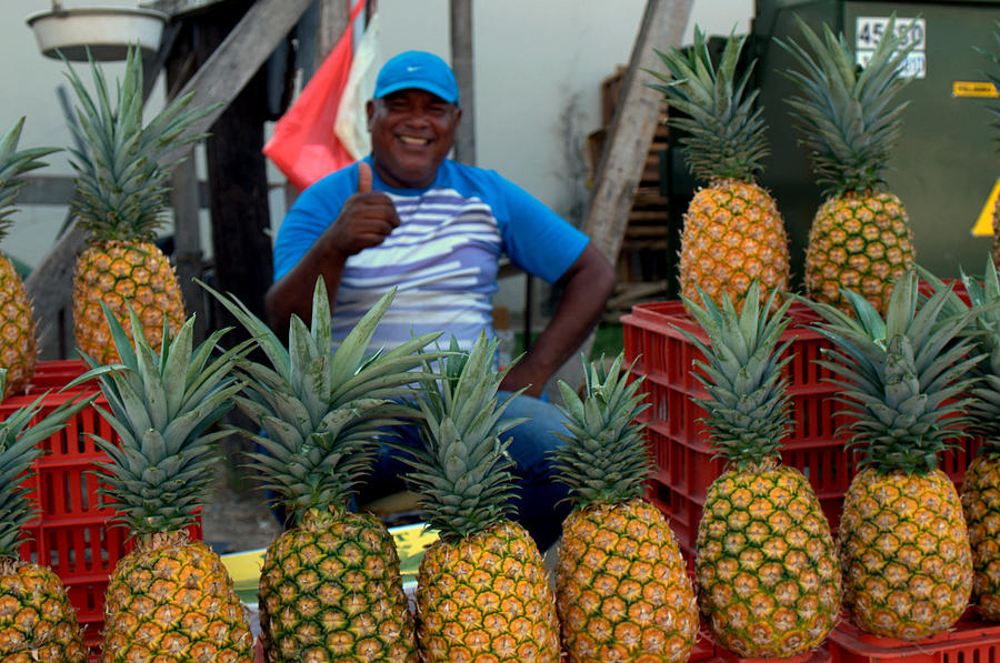Pineapple man Photograph by Douglas Pike