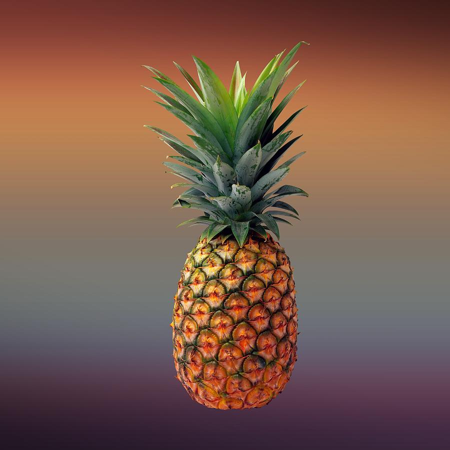 Vegetable Digital Art - Pineapple by Movie Poster Prints
