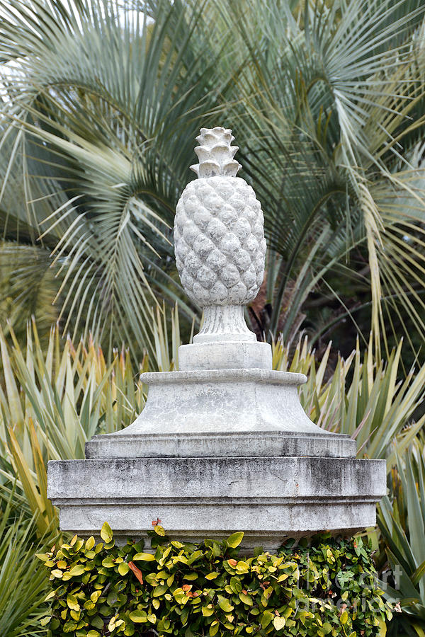 Pineapple On A Pedestal Photograph