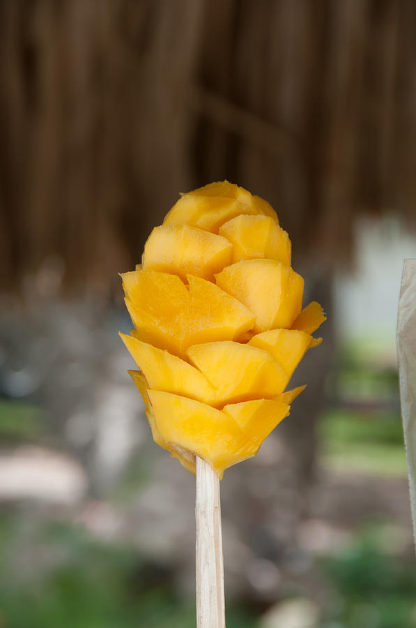 Pineapple on a Stick Photograph by Carol Ailles