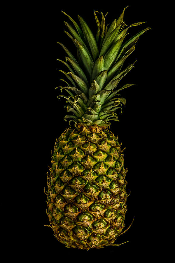 Pineapple Photograph by Paul Freidlund
