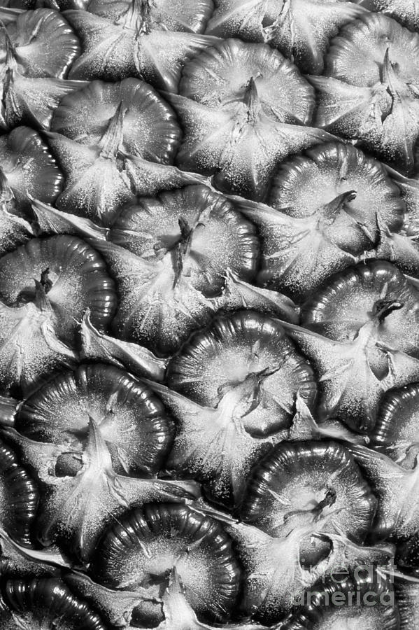 Abstract Photograph - Pineapple Skin - BW by Greg Vaughn - Printscapes