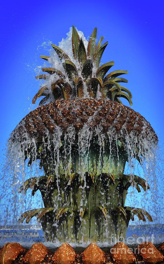 Pineapple Photograph by Skip Willits