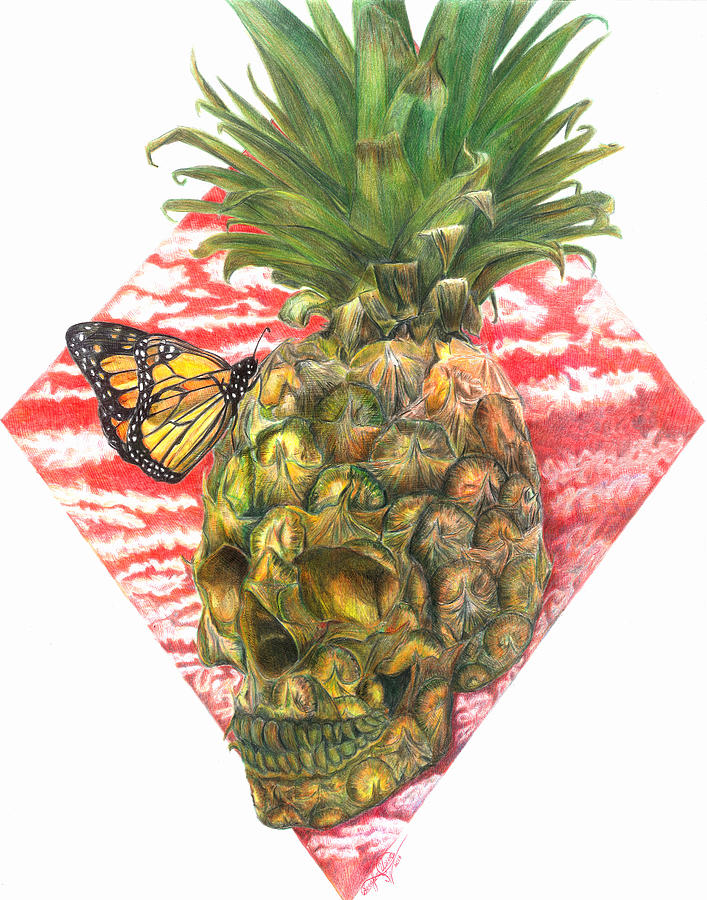 Skull Drawing - Pineapple-skull by Serafin Ureno Skull Drawing - Pineapple-skull by Serafin Ureno