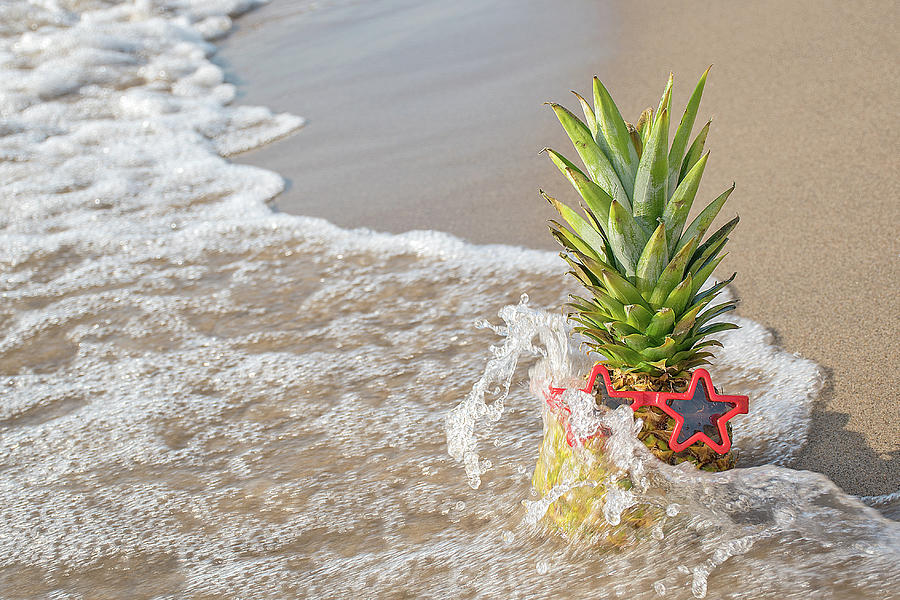 Pineapple splash колеус фото