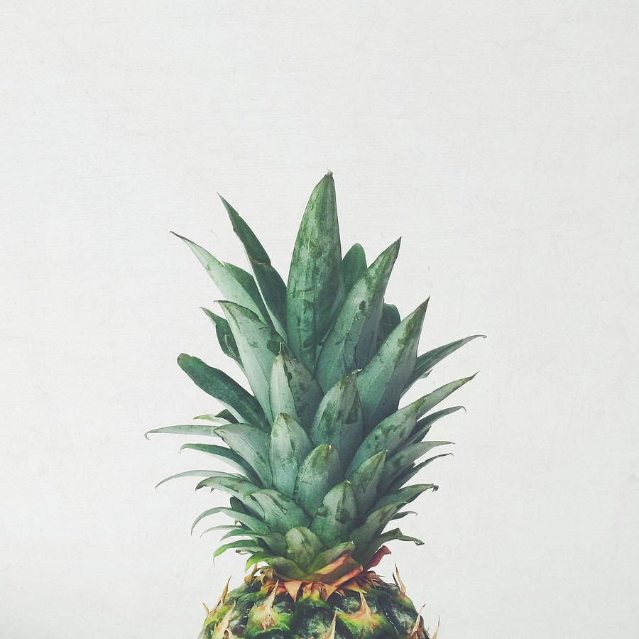 Still Life Photograph - Pineapple Top by Cassia Beck