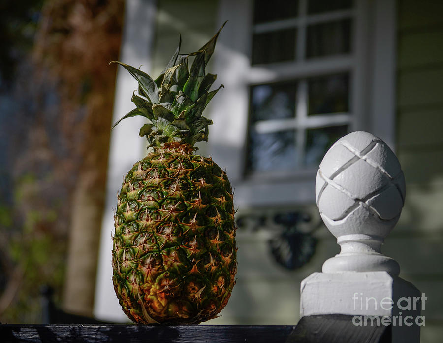 Pineapple Awaiting Your Return Home Photograph by Dale Powell