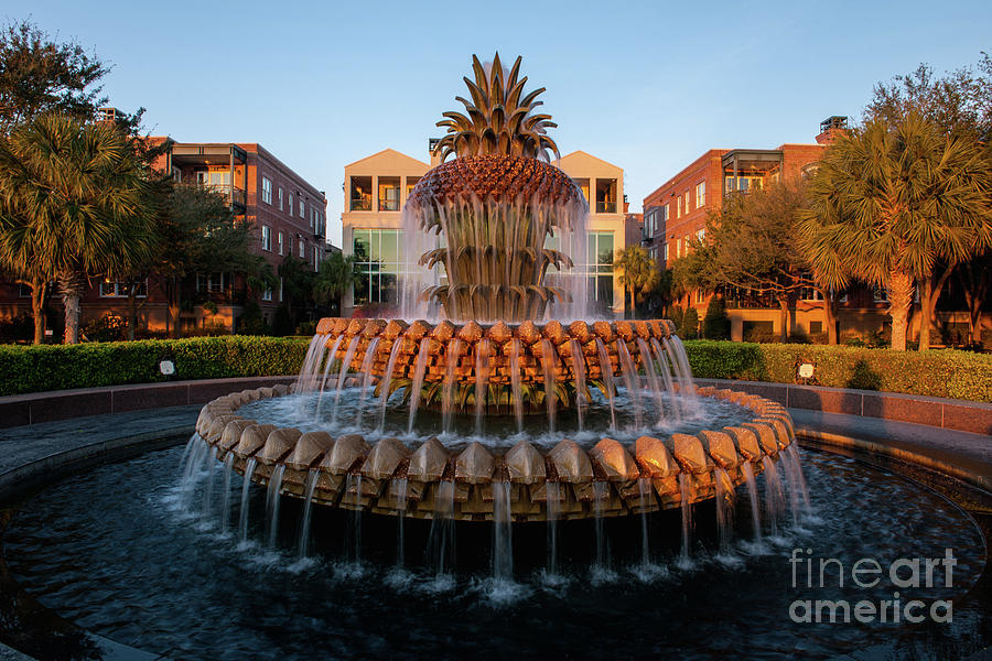 Pineapple Water Flowing Photograph