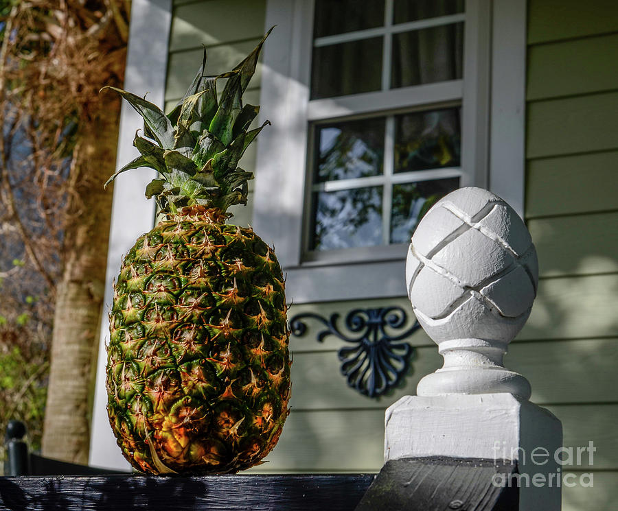 Pineapple Photograph - Pineapple Welcome by Dale Powell