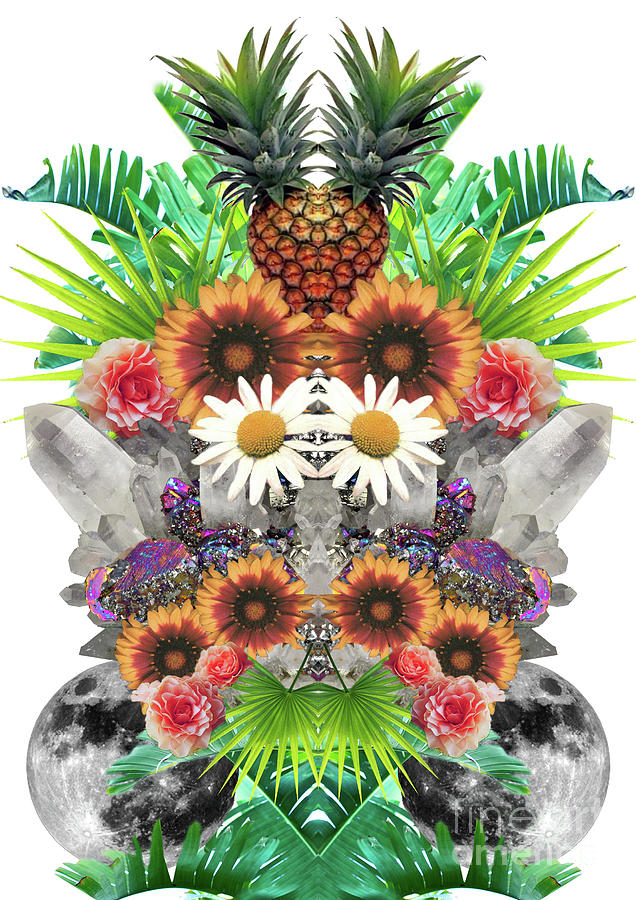 Flower Digital Art - Pineapples and Crystals by Tess Jene