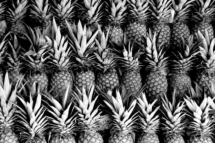 Pineapples in B/W by Gia Marie Houck Pineapples in B/W by Gia Marie Houck