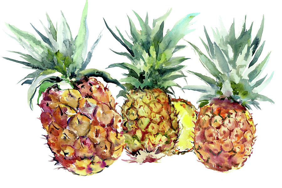 Pineapples Painting by Suren Nersisyan
