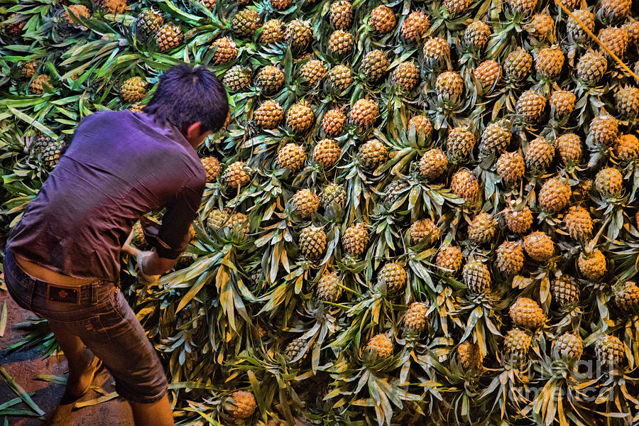 Pineapples Wholesale Market Hanoi  Photograph by Chuck Kuhn
