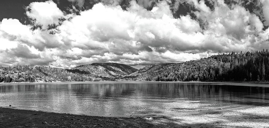 Pinecrest Sky Black and White Photograph by Sierra Vance - Fine Art America