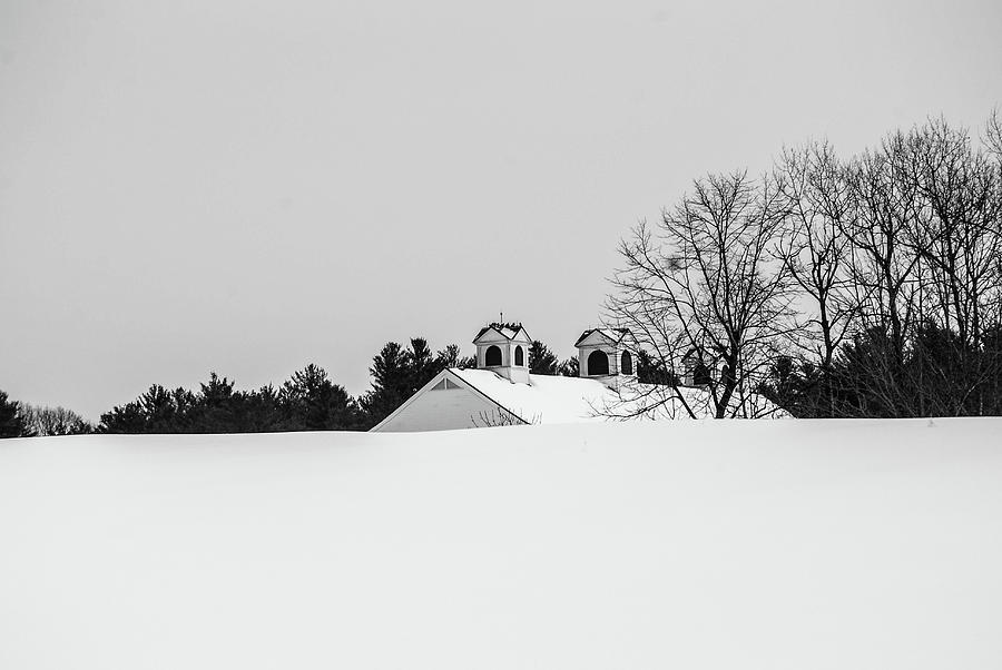 Winter Photograph - Pineland Farm, Winter 2014 by Susan Allen
