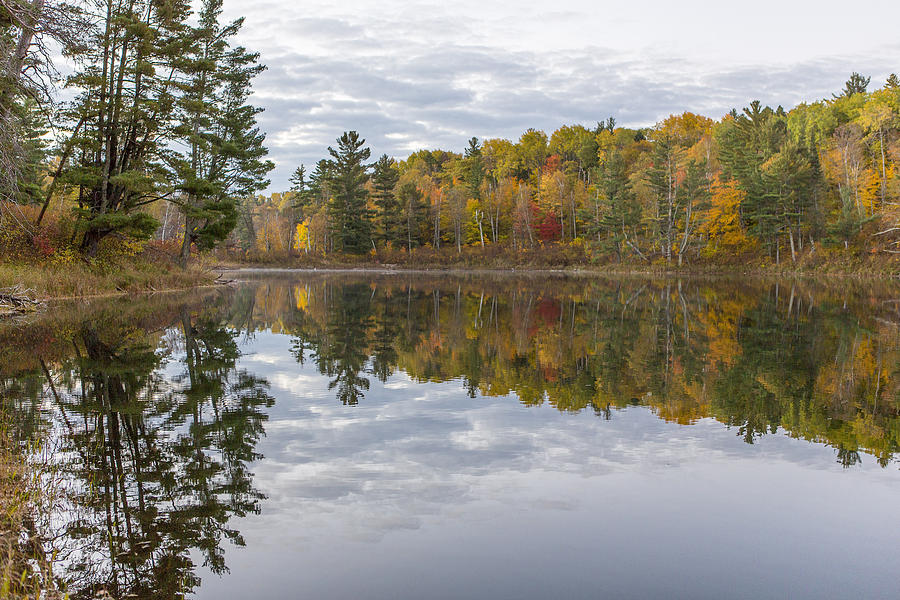 Pines and reflections Photograph by Tim Grams - Fine Art America