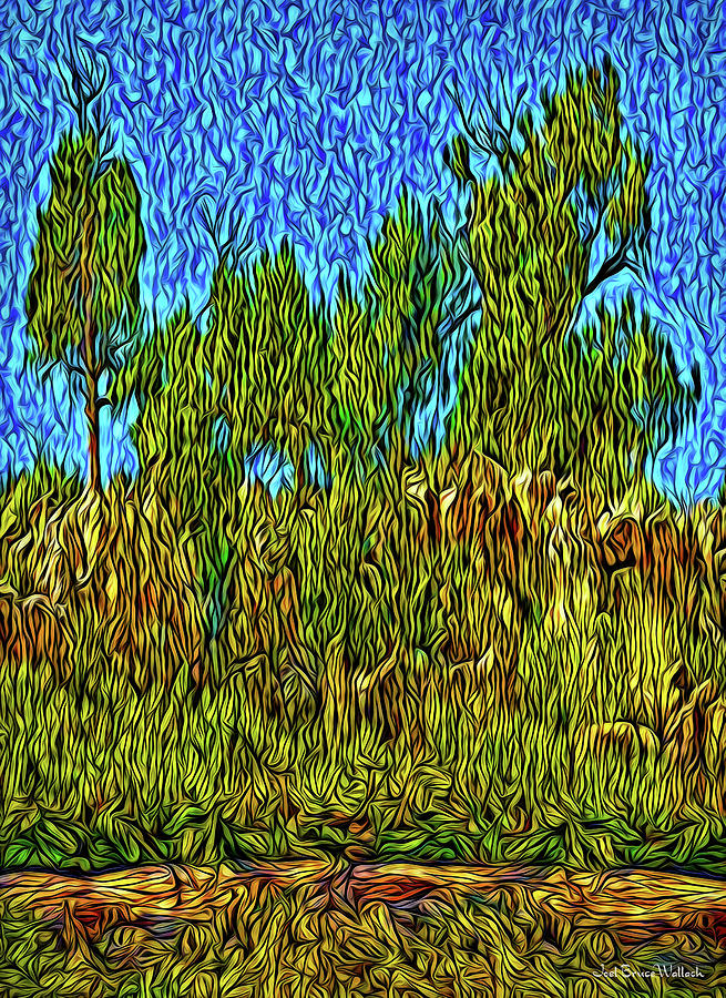 Pines At Dusk Digital Art by Joel Bruce Wallach