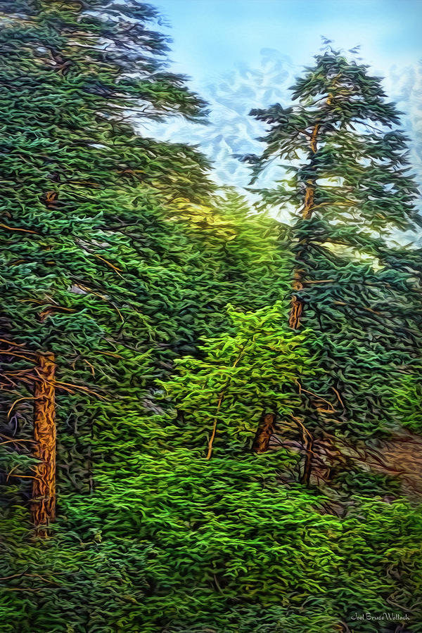 Pines In Morning Light Digital Art by Joel Bruce Wallach