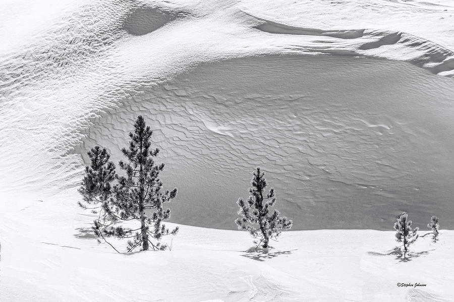 Pines in Snow Drifts Black and White Photograph by Stephen Johnson