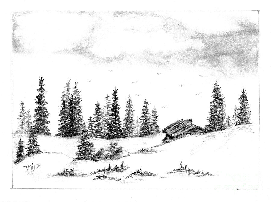Pinetree Cabin Drawing by Terri Mills