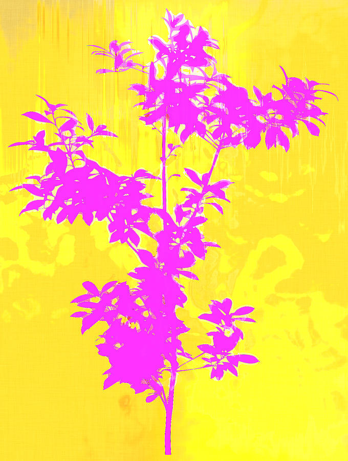 Tree Photograph - Pink Abstract Tree by David G Paul