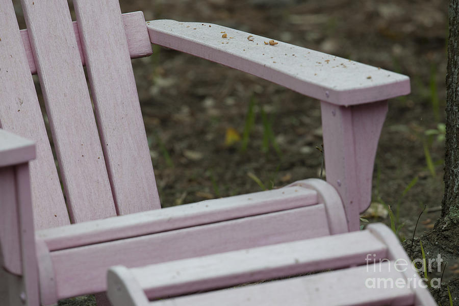 Pink Adirondack Photograph by Dale Powell