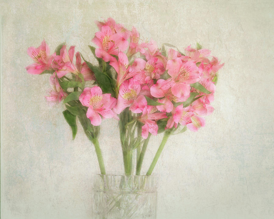 Pink Alstroemeria Bouquet Photograph by Mitch Spence