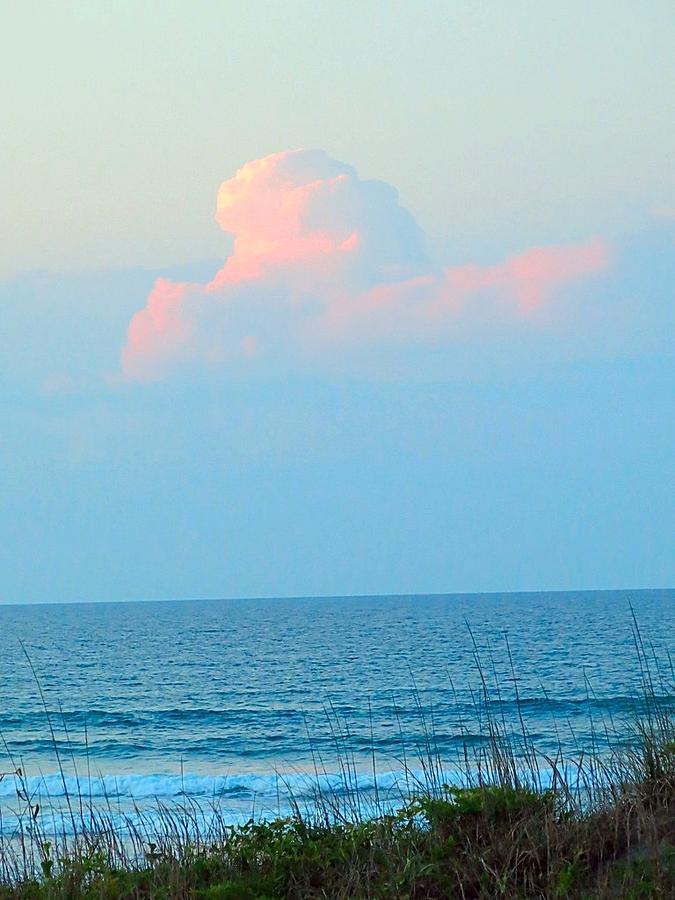 Pink and Blue Photograph by Betty Buller Whitehead