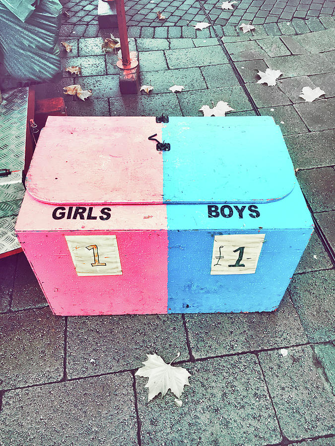 Pink and blue crate Photograph by Tom Gowanlock