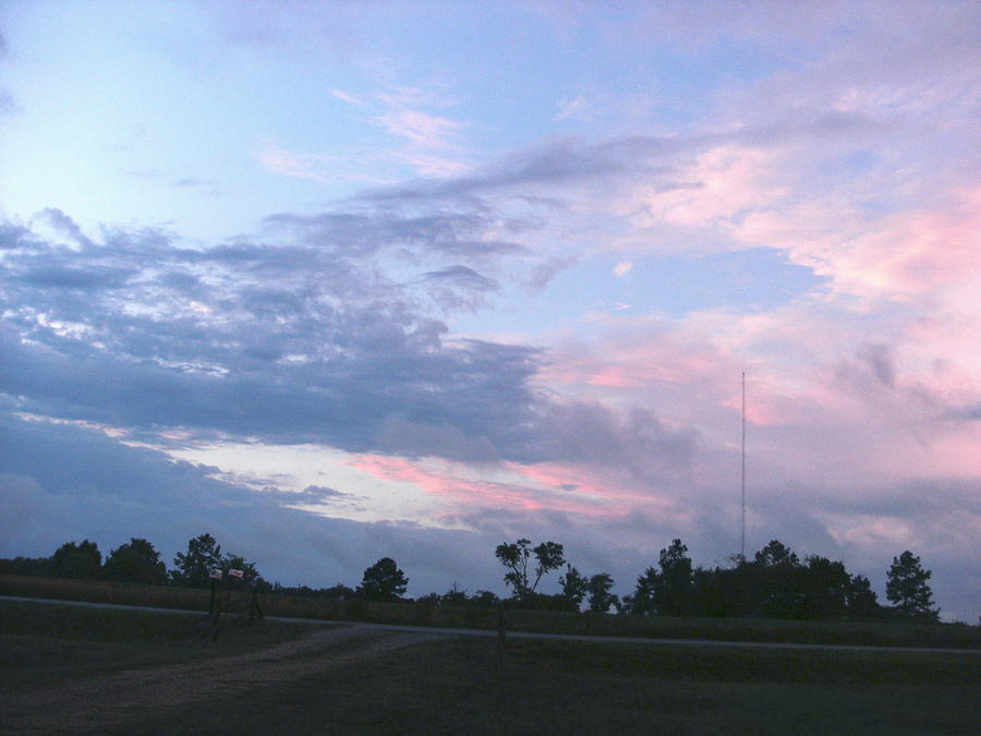 Cool Photograph - Pink and Blue Sky A View from My Yard by Anne-Elizabeth Whiteway