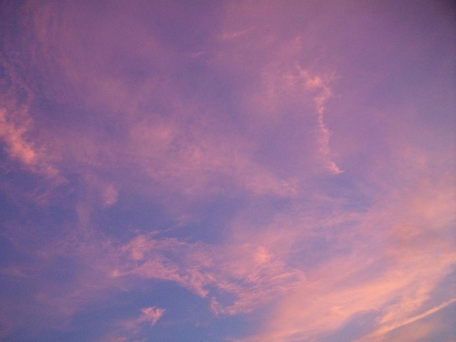 Sunset Photograph - Pink and Blue Sky by LDPhotography Stephanie Armstrong