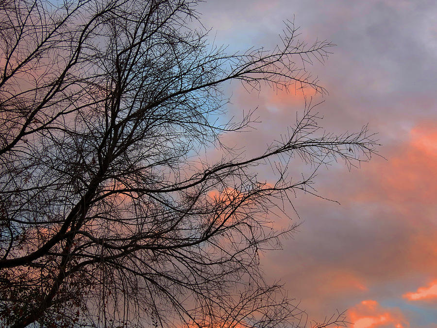 Pink and Blue Sunset Photograph by Laurel Powell
