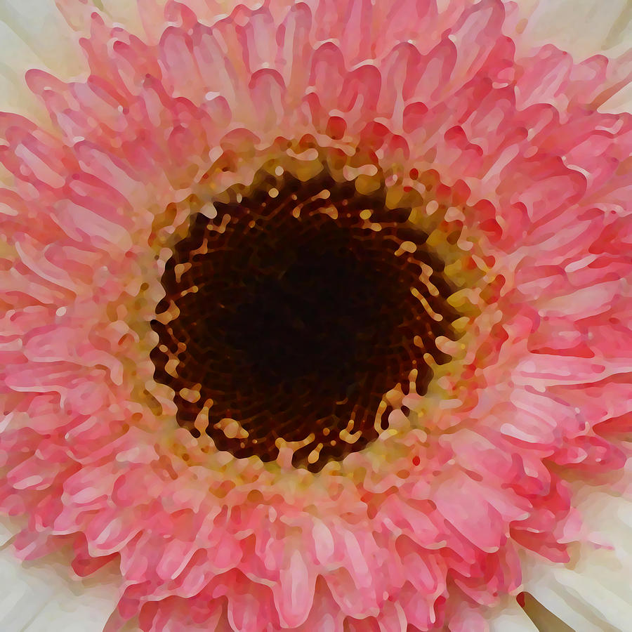 Daisy Painting - Pink and Brown Gerber Center by Amy Vangsgard