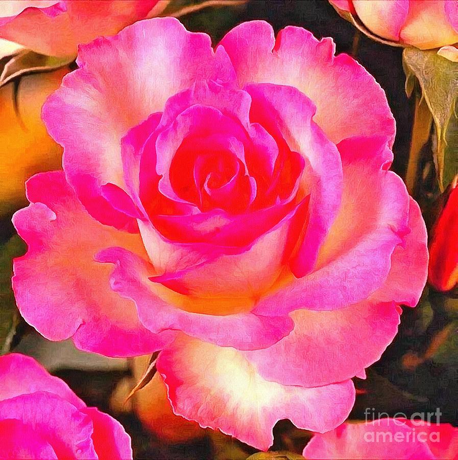 Flowers Still Life Painting - Pink And Cream Rose Realistic by Catherine Lott