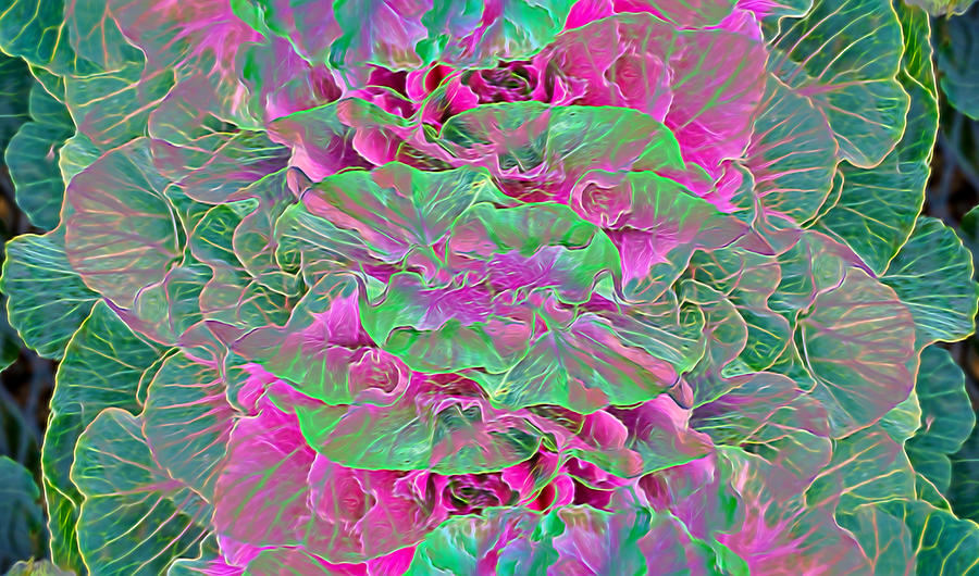 Pink and Green Digital Art by Cathy Anderson