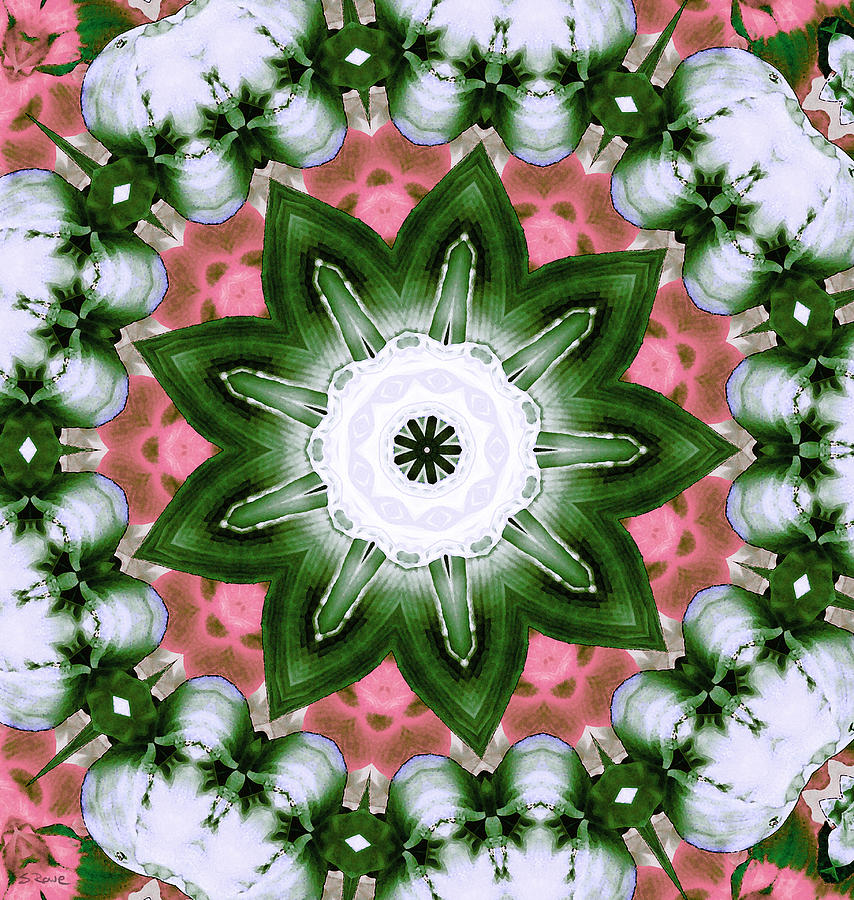 Pink and Green Floral Digital Art by Shawna Rowe