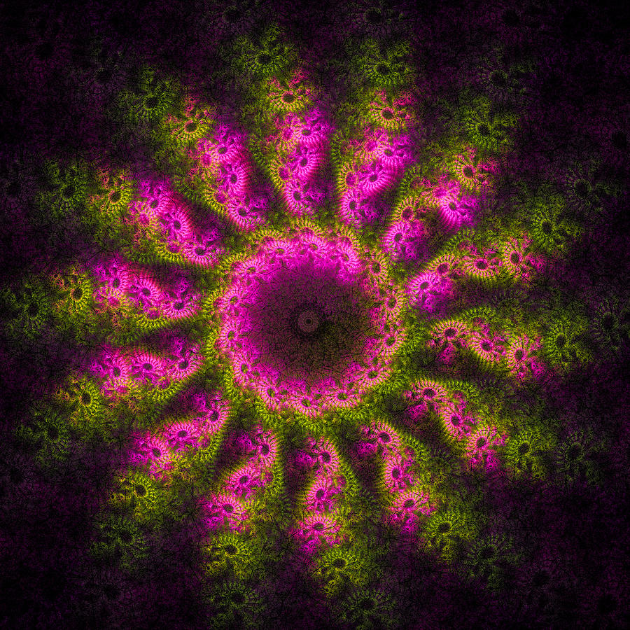 Abstract Digital Art - Pink and green fractal sun by Matthias Hauser