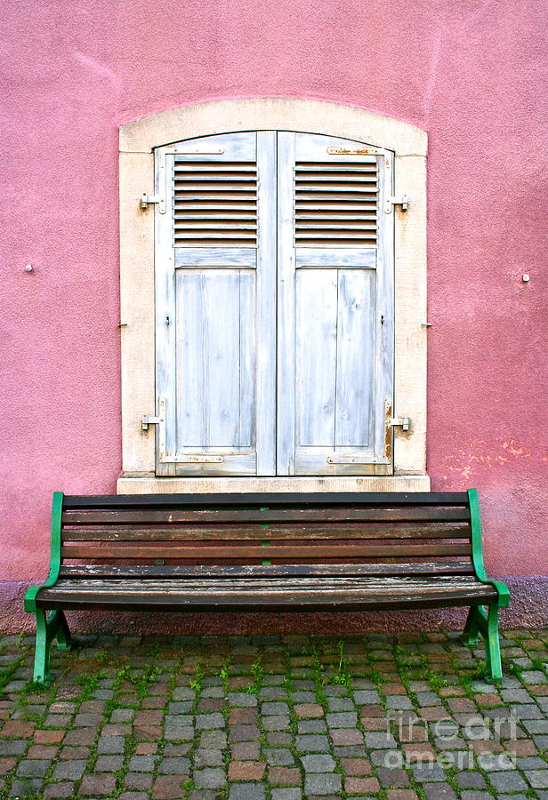 Pink and Green Simplicity Photograph by Amy Sorvillo