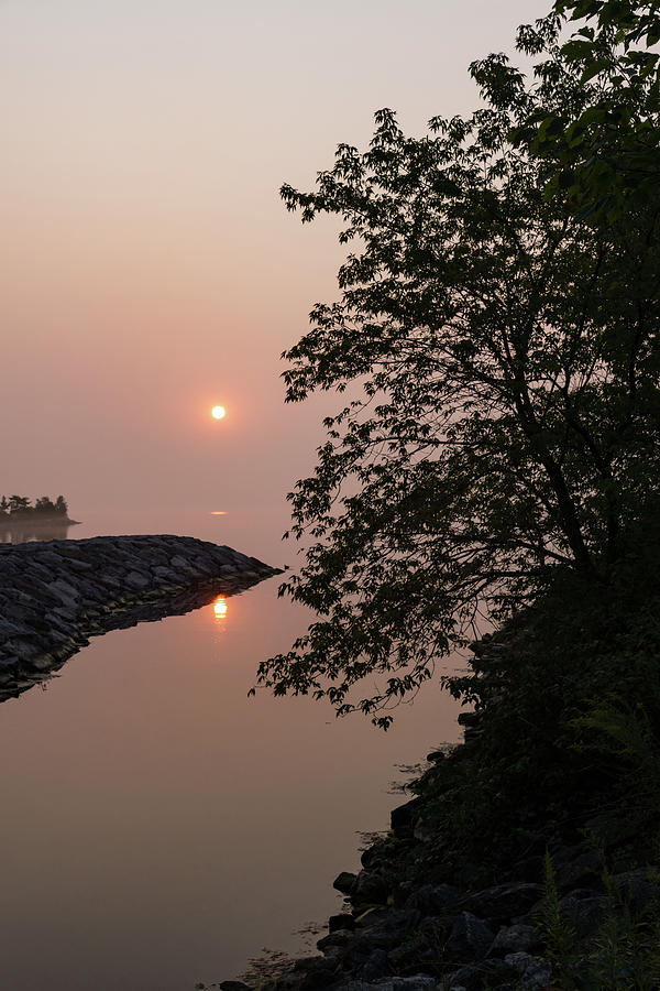 Pink and Green Summer - Soft Misty Sunrise on the Lake Photograph by Georgia Mizuleva