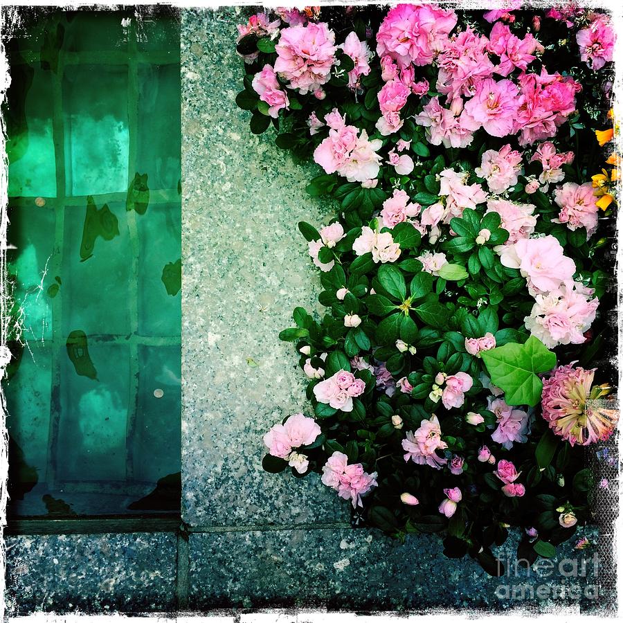 Pink and Green - the Waters of Rockefeller Center Photograph by Miriam Danar