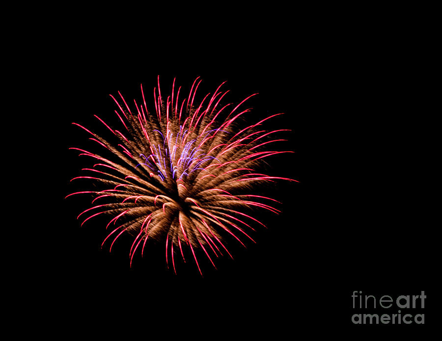 Pink And Orange Fireworks Photograph by Suzanne Luft