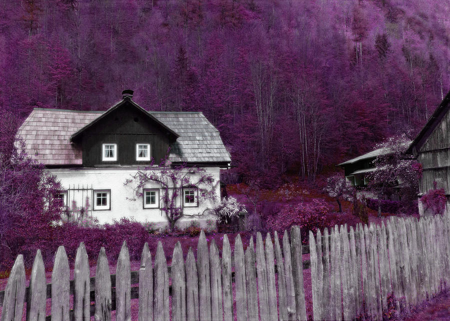 Pink and Purple Enchanted Cottage Photograph by Brooke T Ryan
