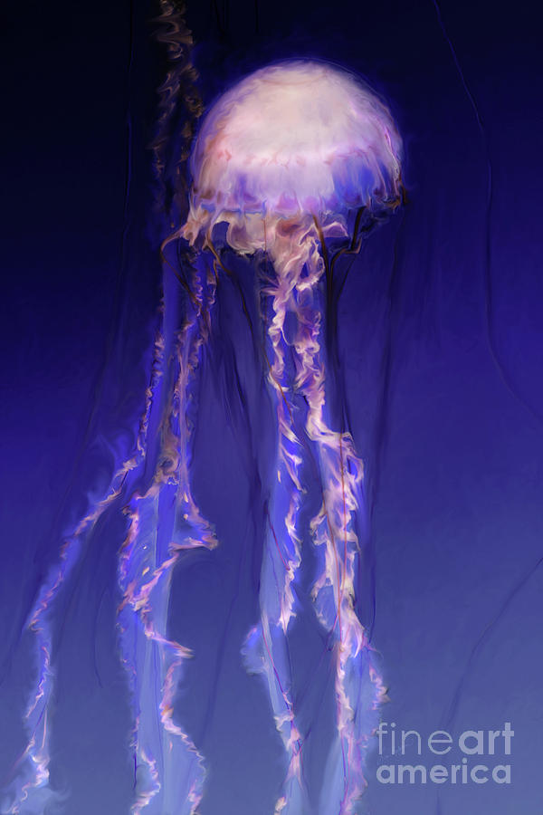 Pink and Purple Jellyfish Digital Art by Lisa Redfern