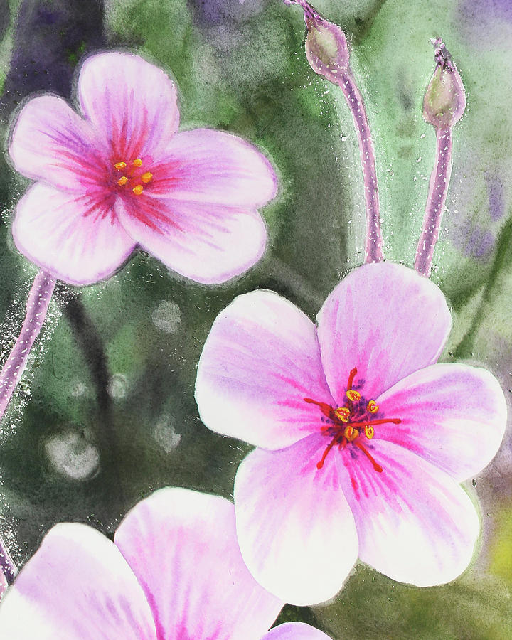 Pink And Purple Watercolor Flowers Painting