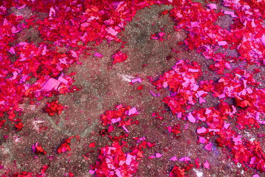 Pink and Red Firecracker Debris Abstract Photograph by Bonnie Follett