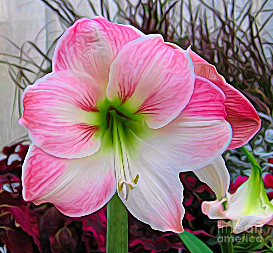 Pink and White Amaryllis Flower Expressionist Effect Photograph by Rose Santuci-Sofranko