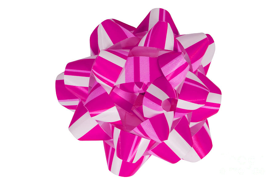 Pink and White Christmas Bow Photograph by Anthony Totah