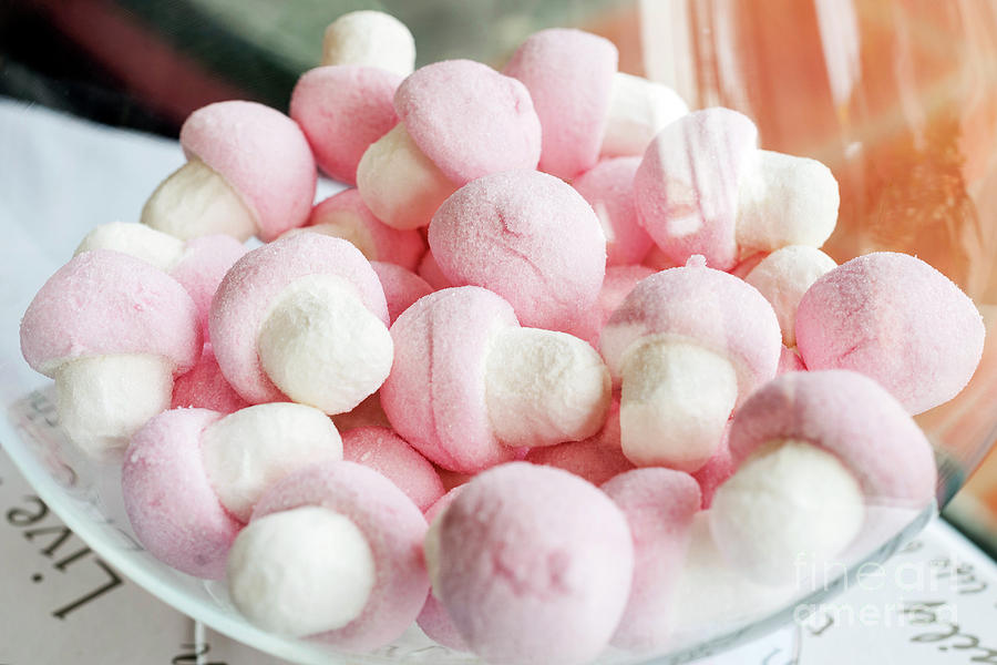 Pink And White Marshmallows In Bowl Photograph by JM Travel Photography