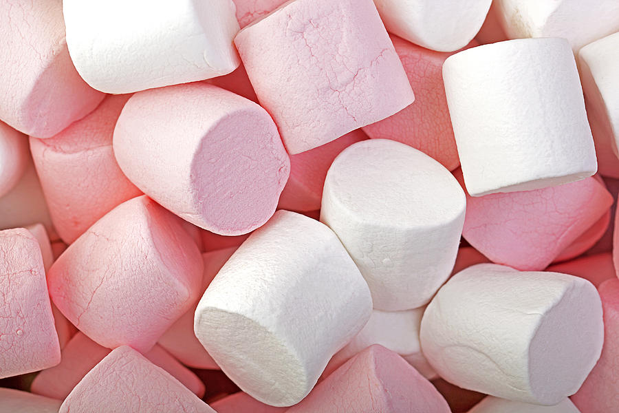 Candy Photograph - Pink and White marshmallows by Jane Rix