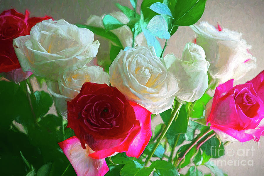 Pink and White Roses Photo Art 2 Photograph by Sharon Talson